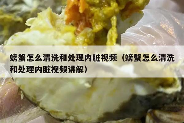 螃蟹怎么清洗和处理内脏视频（螃蟹怎么清洗和处理内脏视频讲解）