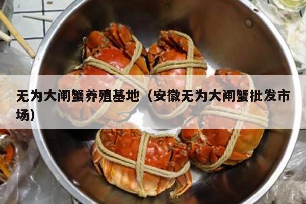 无为大闸蟹养殖基地（安徽无为大闸蟹批发市场）