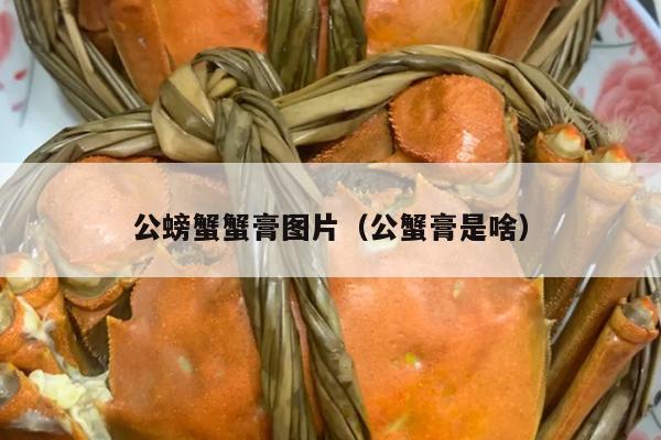 公螃蟹蟹膏图片（公蟹膏是啥）