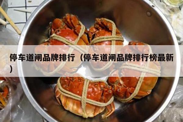 停车道闸品牌排行（停车道闸品牌排行榜最新）