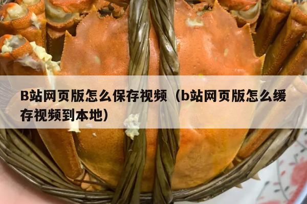 B站网页版怎么保存视频（b站网页版怎么缓存视频到本地）