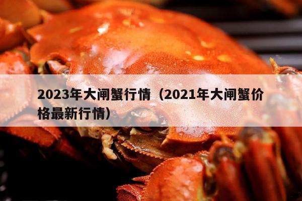 2023年大闸蟹行情（2021年大闸蟹价格最新行情）