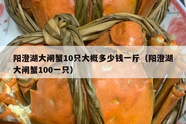 阳澄湖大闸蟹10只大概多少钱一斤（阳澄湖大闸蟹100一只）