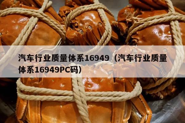 汽车行业质量体系16949（汽车行业质量体系16949PC码）