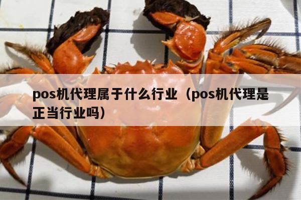 pos机代理属于什么行业（pos机代理是正当行业吗）