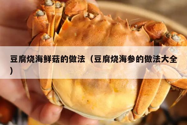 豆腐烧海鲜菇的做法（豆腐烧海参的做法大全）