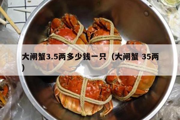 大闸蟹3.5两多少钱一只（大闸蟹 35两）