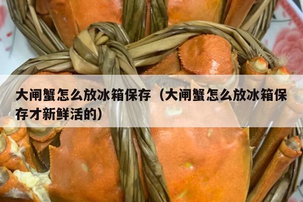 大闸蟹怎么放冰箱保存（大闸蟹怎么放冰箱保存才新鲜活的）