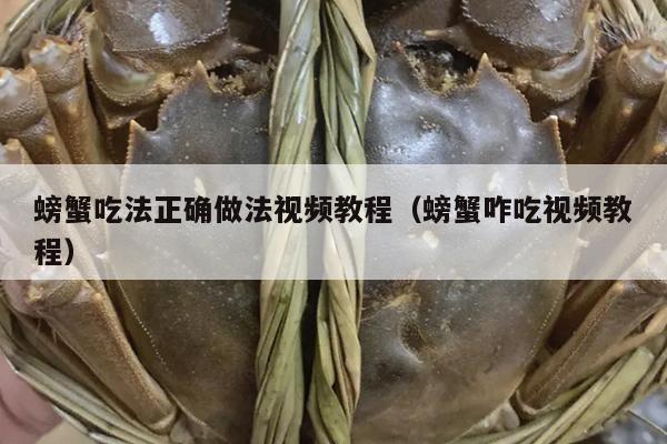 螃蟹吃法正确做法视频教程（螃蟹咋吃视频教程）