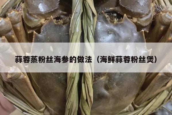 蒜蓉蒸粉丝海参的做法（海鲜蒜蓉粉丝煲）