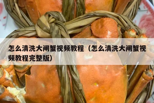 怎么清洗大闸蟹视频教程（怎么清洗大闸蟹视频教程完整版）