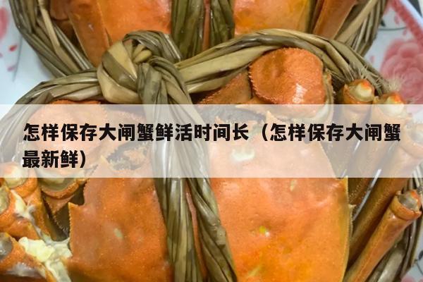 怎样保存大闸蟹鲜活时间长（怎样保存大闸蟹最新鲜）