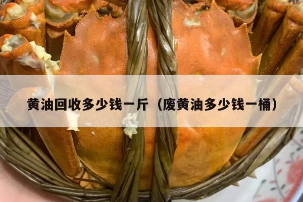 黄油回收多少钱一斤（废黄油多少钱一桶）