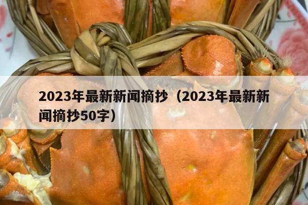 2023年最新新闻摘抄（2023年最新新闻摘抄50字）