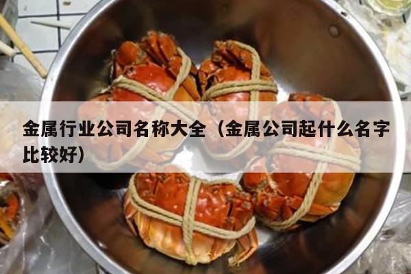 金属行业公司名称大全（金属公司起什么名字比较好）