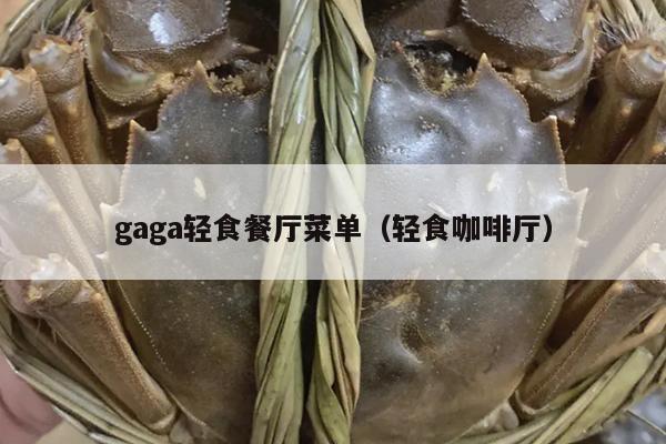 gaga轻食餐厅菜单（轻食咖啡厅）