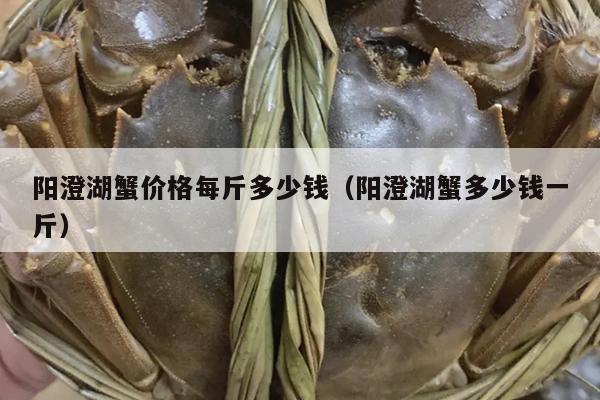 阳澄湖蟹价格每斤多少钱（阳澄湖蟹多少钱一斤）