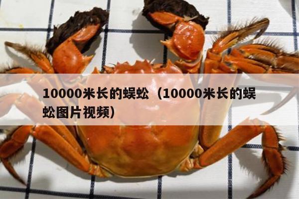 10000米长的蜈蚣（10000米长的蜈蚣图片视频）