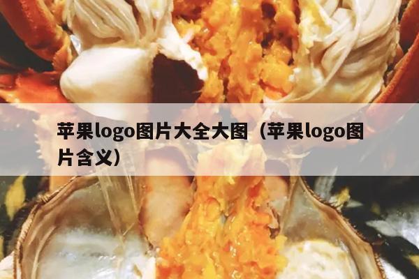 苹果logo图片大全大图（苹果logo图片含义）