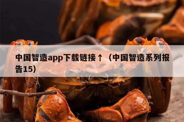 中国智造app下载链接↑（中国智造系列报告15）