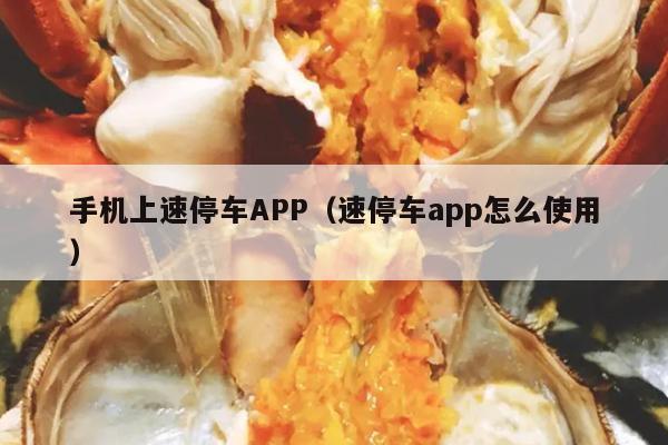 手机上速停车APP（速停车app怎么使用）