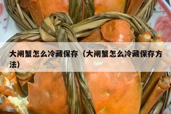 大闸蟹怎么冷藏保存（大闸蟹怎么冷藏保存方法）