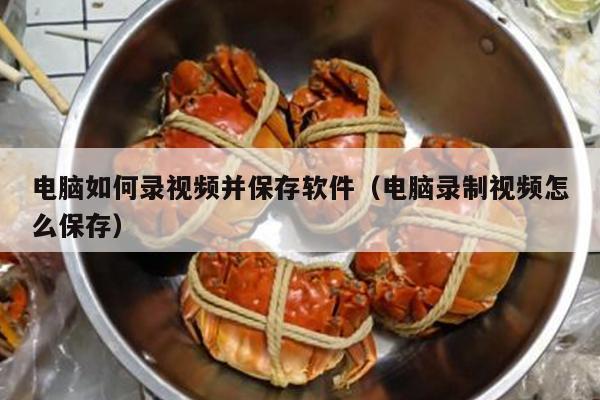 电脑如何录视频并保存软件（电脑录制视频怎么保存）