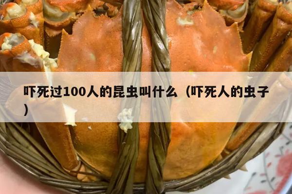 吓死过100人的昆虫叫什么（吓死人的虫子）