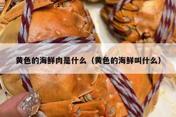 黄色的海鲜肉是什么（黄色的海鲜叫什么）