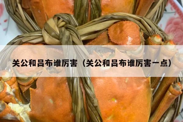 关公和吕布谁厉害（关公和吕布谁厉害一点）