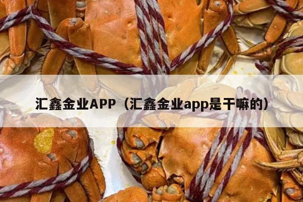 汇鑫金业APP（汇鑫金业app是干嘛的）