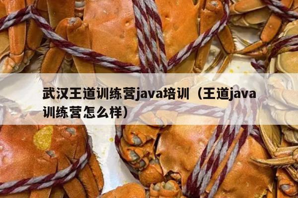 武汉王道训练营java培训（王道java训练营怎么样）