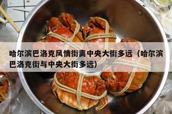 哈尔滨巴洛克风情街离中央大街多远（哈尔滨巴洛克街与中央大街多远）