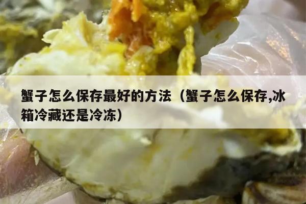 蟹子怎么保存最好的方法（蟹子怎么保存,冰箱冷藏还是冷冻）