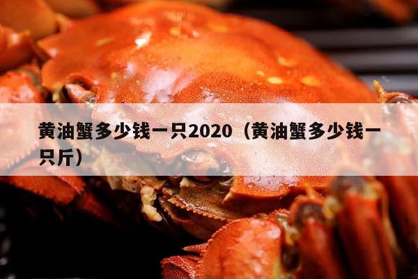 黄油蟹多少钱一只2020（黄油蟹多少钱一只斤）