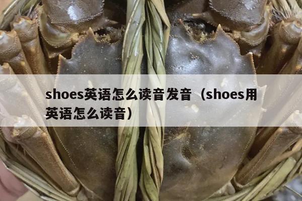 shoes英语怎么读音发音（shoes用英语怎么读音）