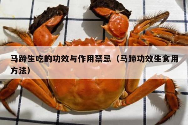 马蹄生吃的功效与作用禁忌（马蹄功效生食用方法）