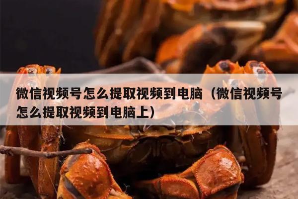 微信视频号怎么提取视频到电脑（微信视频号怎么提取视频到电脑上）