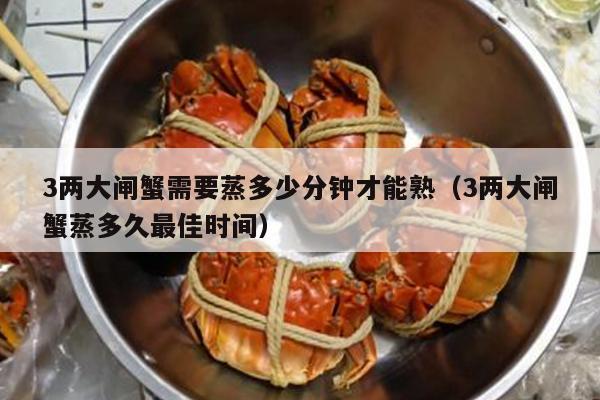 3两大闸蟹需要蒸多少分钟才能熟（3两大闸蟹蒸多久最佳时间）