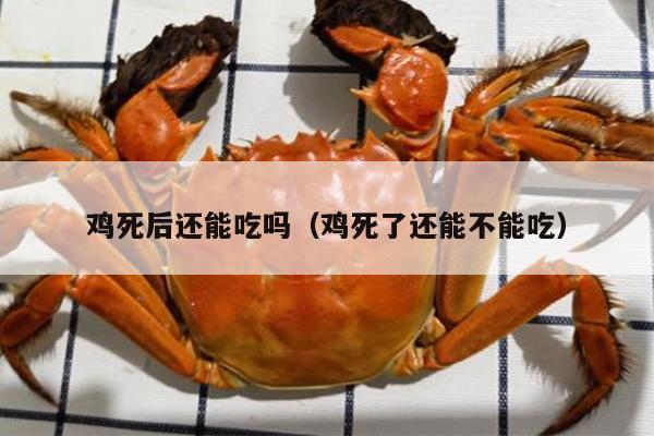 鸡死后还能吃吗（鸡死了还能不能吃）