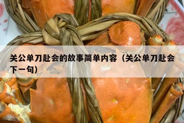 关公单刀赴会的故事简单内容（关公单刀赴会下一句）