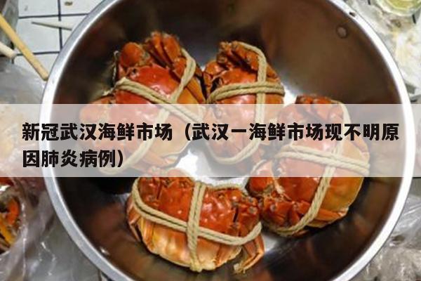 新冠武汉海鲜市场（武汉一海鲜市场现不明原因肺炎病例）