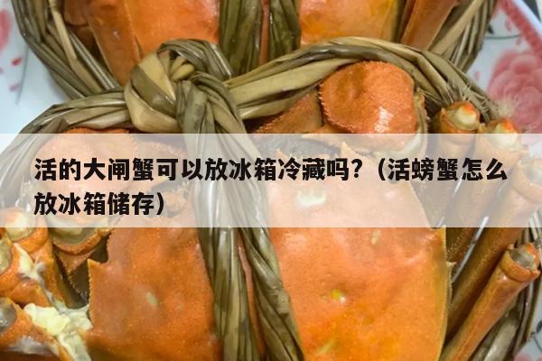 活的大闸蟹可以放冰箱冷藏吗?（活螃蟹怎么放冰箱储存）