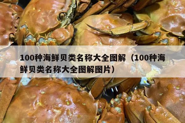 100种海鲜贝类名称大全图解（100种海鲜贝类名称大全图解图片）