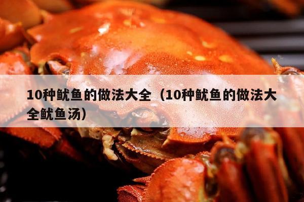 10种鱿鱼的做法大全（10种鱿鱼的做法大全鱿鱼汤）