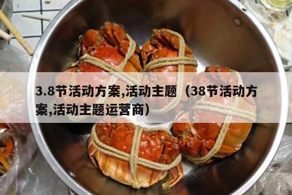 3.8节活动方案,活动主题（38节活动方案,活动主题运营商）