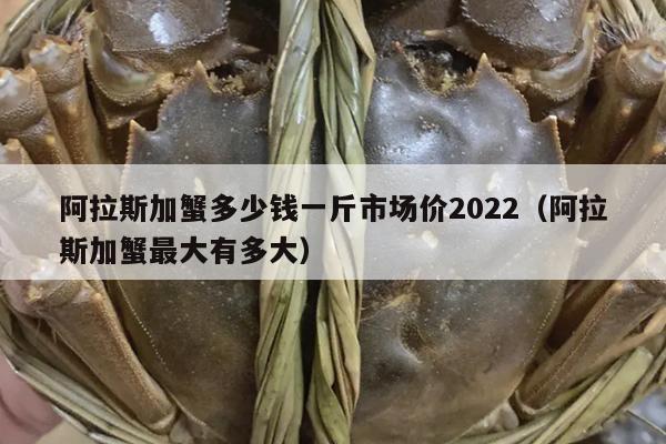 阿拉斯加蟹多少钱一斤市场价2022（阿拉斯加蟹最大有多大）