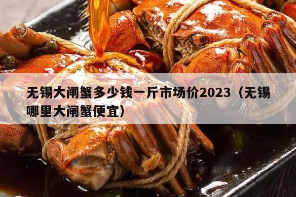 无锡大闸蟹多少钱一斤市场价2023（无锡哪里大闸蟹便宜）