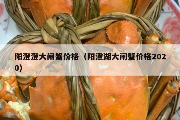 阳澄澄大闸蟹价格（阳澄湖大闸蟹价格2020）