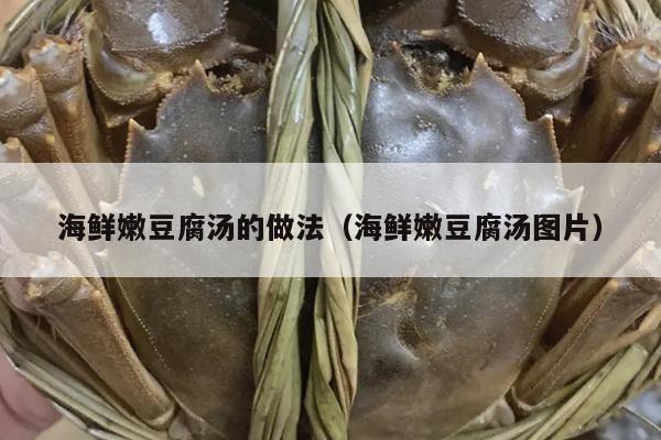 海鲜嫩豆腐汤的做法（海鲜嫩豆腐汤图片）